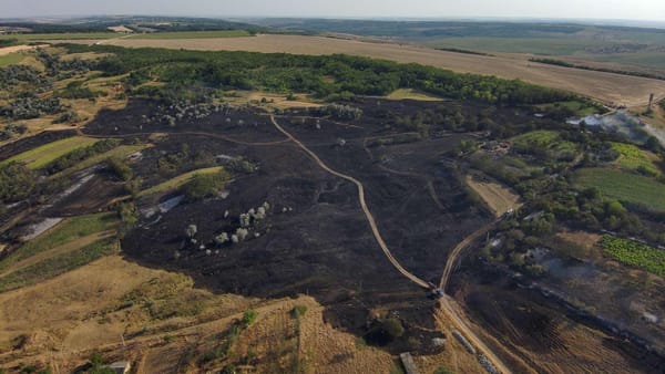 Canicula și temperaturile extreme cresc riscul izbucnirii incendiilor de vegetație. Recomandări pentru populație
