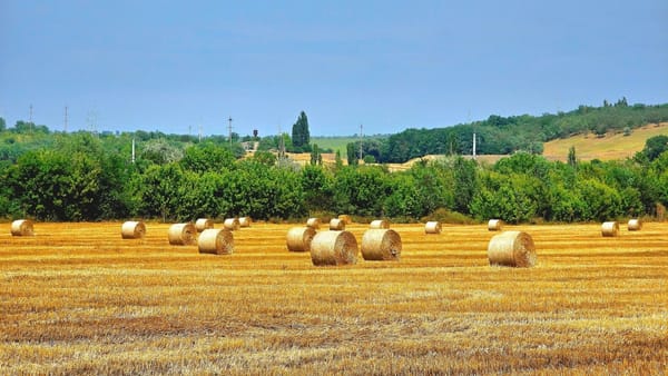 Sudul R. Moldova nu scapă de codul galben de caniculă. Temperaturile maxime se mențin la +35°C