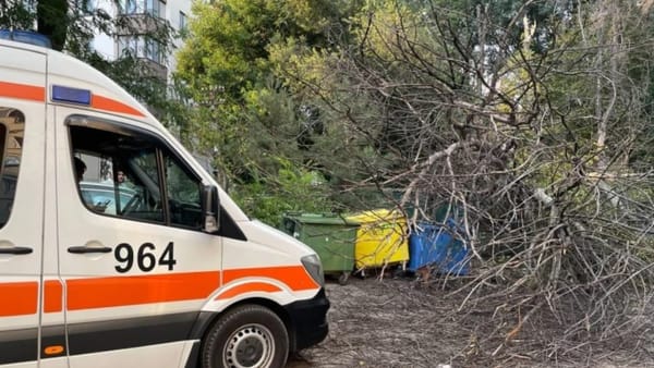 Copaci doborâți și clădiri descoperite. Salvatorii au efectuat peste 40 de misiuni în urma vântului puternic de ieri