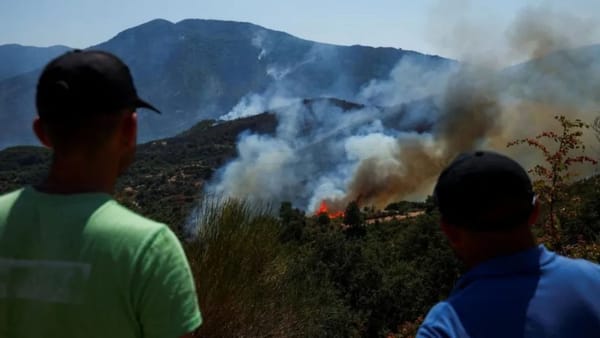 Alerte de călătorie în Grecia și Albania. Ambele țări se confruntă cu incendii de vegetație