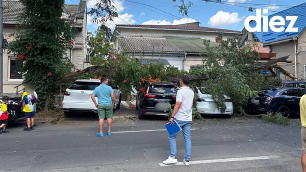 Un arbore s-a prăbușit în sectorul Centru al capitalei. Spații Verzi dă vina pe condițiile meteorologice extreme