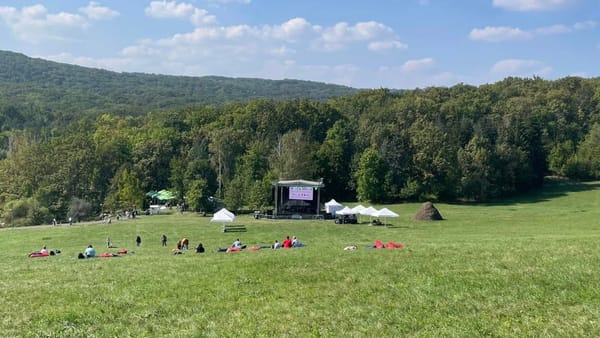 Reședința de Stat de la Condrița va găzdui o nouă ediție a Festivalului Pădurilor