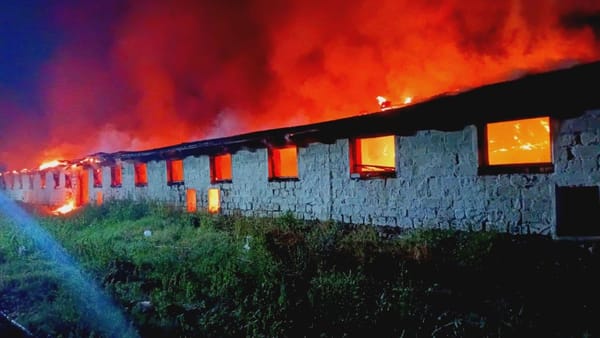 Incendiu puternic în raionul Rîșcani: Pompierii au salvat circa 300 de animale