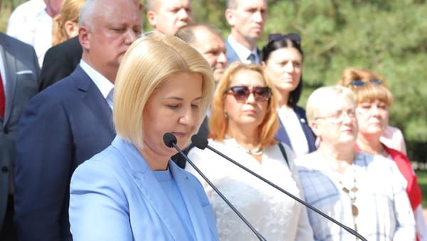 Serviciul Fiscal de Stat va bloca fondurile și resursele economice ale președintei partidului „Inima Moldovei”, Irina Vlah