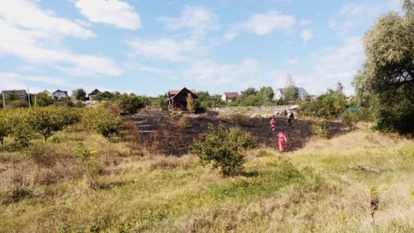 Incendiu de vegetație uscată în satul Dănceni: O femeie de 63 de ani a murit