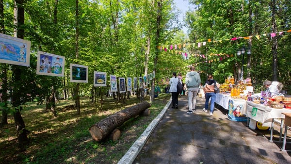 Festivalul Pădurilor de la Condrița. Cetățenii sunt îndemnați să utilizeze transportul pus la dispoziție de organizatori