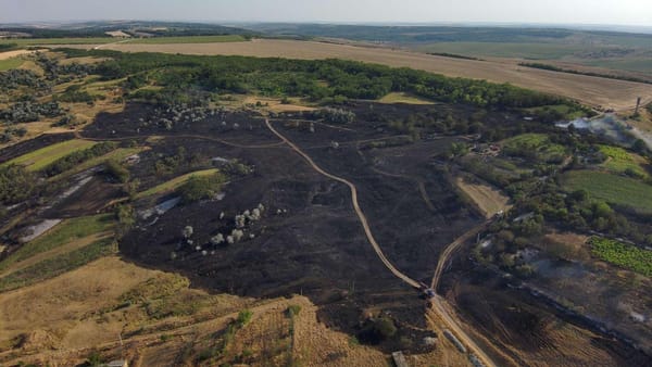Codul galben de pericol de incendiu cu caracter natural, prelungit din nou. Avertismentul este valabil în toată țara