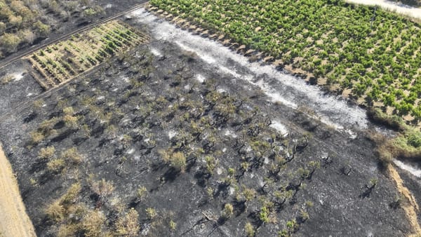 Incendiu de vegetație uscată în raionul Cimișlia. Îndemnul pompierilor pentru cetățeni