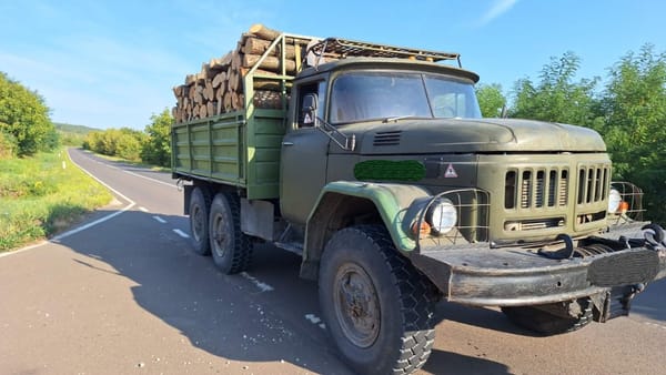 Transportarea masei lemnoase fără acte de proveniență. Inspectorii de mediu au aplicat amenzi în valoare de 5.000 de lei