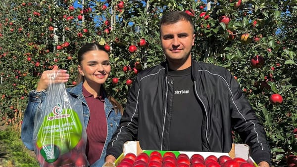 Merele moldovenești debutează pe piața nordică. Un producător din Briceni a expediat primul lot spre Islanda