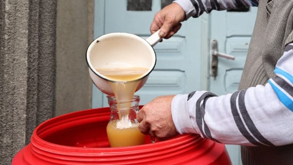Gospodarii au început producerea vinului. Recomandările salvatorilor pentru cetățeni