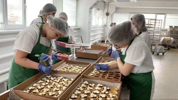 Crește numărul tinerilor înscriși la învăţământ dual. Franzeluța și Bucuria, printre companiile care au solicitat cel mai mare număr de elevi