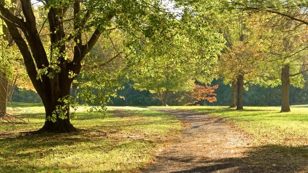 Cer variabil și maxime de 19 grade Celsius. Prognoza meteo pentru ziua de 5 octombrie