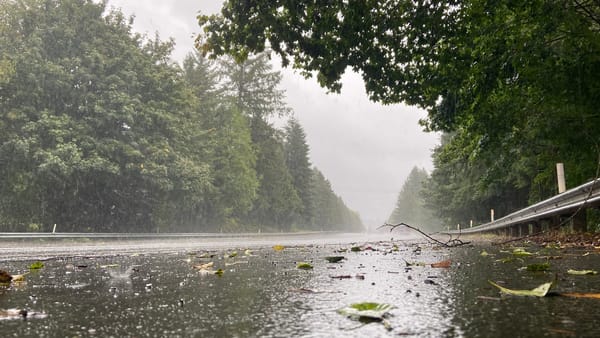 Ploaia a pus stăpânire pe R. Moldova. Meteorologii prognozează pentru astăzi maxime de 15 grade Celsius