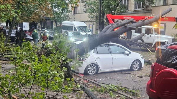 Copaci doborâți și mașini avariate: Autoritățile capitalei înlătură consecințele ploii din 7 octombrie