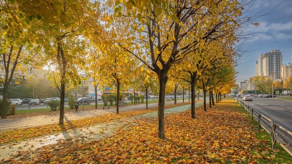 Vreme frumoasă și fără precipitații. Prognoza meteo pentru ziua de 14 octombrie