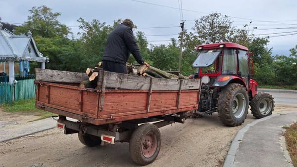 Inspectorii de mediu din Nisporeni au aplicat amenzi în valoare de peste 17 mii de lei pentru transport ilegal de lemn