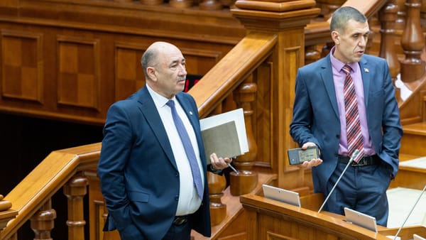 În noul Parlament vor activa 12 comisii permanente. Cinci dintre acestea vor fi conduse de deputați din opoziție