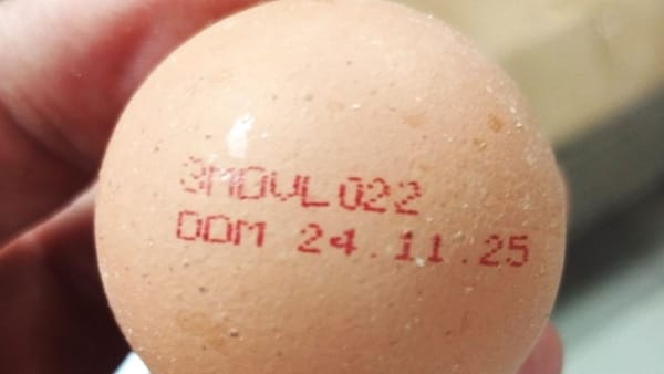 Atenție! Un lot de ouă de găină este retras din comerț