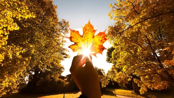 Temperaturi blânde și cer variabil în toată țara. Prognoza meteo pentru ziua de 29 octombrie