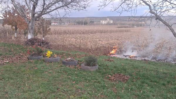 Mai multe cazuri de ardere a vegetației uscate, înregistrate în raionul Glodeni. Inspectorii de mediu au aplicat amenzi