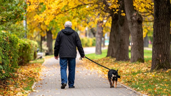 Cer predominant noros, vreme fără precipitații și maxime de +13 grade Celsius