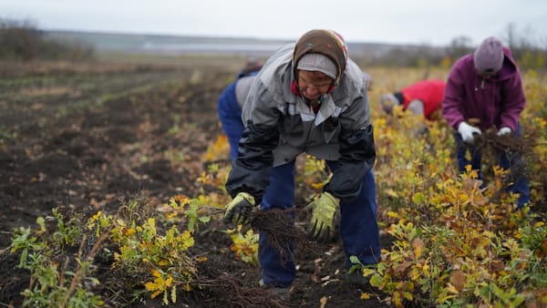 În R. Moldova s-a dat start campaniei de împădurire de toamnă