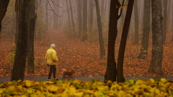 Cer variabil și ceață în unele raioane. Mercurul din termometre va urca până la +14 grade Celsius