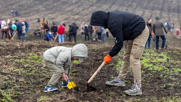Circa 110 mii de puieți au fost plantați la Mihailovca, în prima zi a campaniei de împădurire de toamnă - GALERIE FOTO