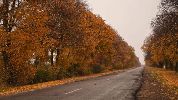 Vremea se răcește simțitor. Pe 18 noiembrie, în mai multe raioane vor cădea ploi slabe