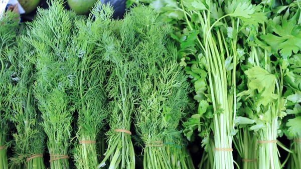 Cincisprezece tone de mărar și pătrunjel proaspăt de import, nimicite de ANSA: Conțin cantități mari de nitrați