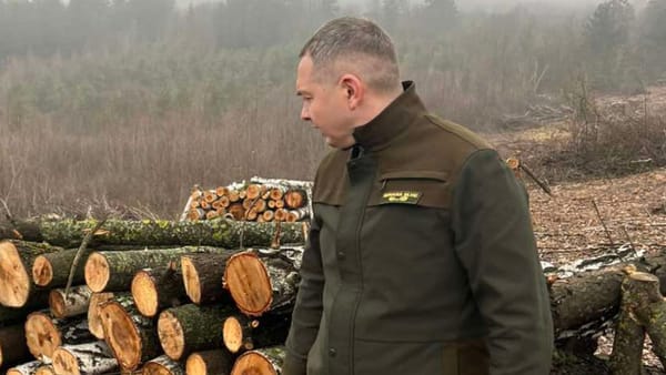 Agenția „Moldsilva” rămâne din nou fără șef. Victor Durbală a demisionat din funcția de director