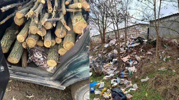 Inspectorii de mediu au depistat mai multe încălcări în câteva localități din raionul Florești. Persoanele vinovate au fost sancționate