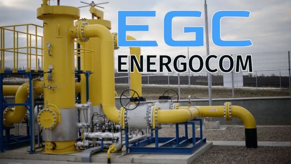 Energocom nu a asigurat integritatea tuturor dosarelor de achiziții ale gazelor naturale. Raportul Curții de Conturi, examinat de comisia parlamentară de profil