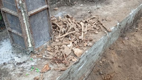 În stânga Nistrului a fost descoperită o groapă comună cu rămășițele a peste 50 de persoane