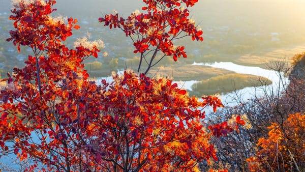 Cer noros în toată țara și maxime de până la +15°C. Prognoza meteo pentru prima zi de weekend