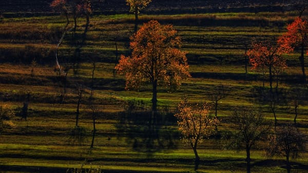 Maxime de +17°C în mai multe raioane ale țării. Prognoza meteo pentru ziua de 26 noiembrie
