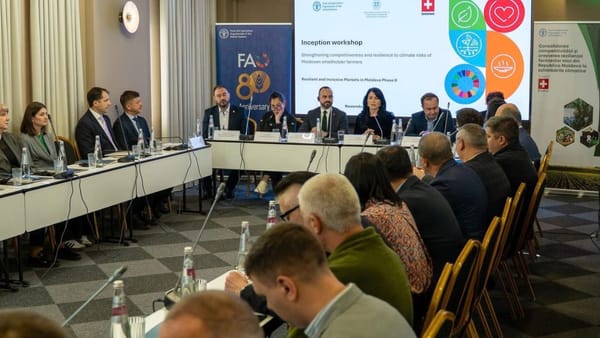 Fermierii mici din R. Moldova, sprijiniți să treacă peste secetă și crize economice cu ajutorul FAO