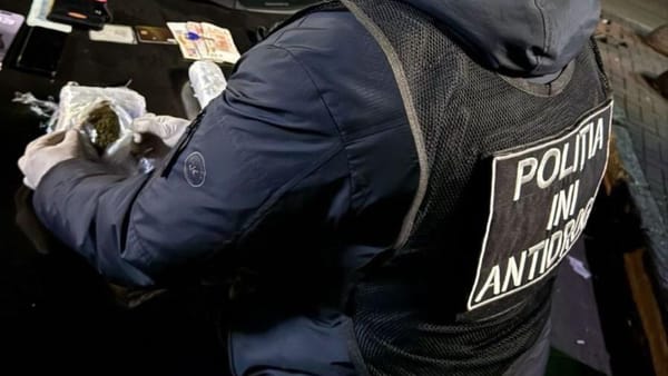 Grupare specializată în trafic de marijuana, destructurată la Chișinău: Doi suspecți au fost plasați în arest pentru 30 de zile