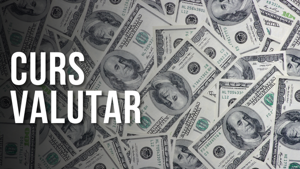 Curs valutar pentru 4 noiembrie 2025: Leul moldovenesc continuă să se mențină stabil în raport cu principalele valute