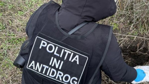 Droguri în valoare de peste 7,4 milioane de lei - scoase din circuit. Cetățenii, rugați să semnaleze activitățile suspecte