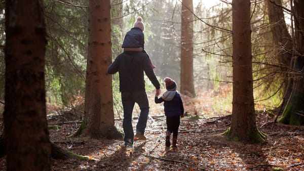 Elevii din 30 de școli din Orhei, Rezina, Șoldănești și Chișinău vor fi instruiți despre importanța unui sol sănătos
