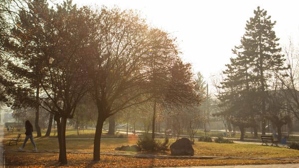 Prognoza meteo: Cer acoperit de nori și maxime de +7 grade Celsius