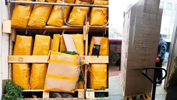 Mărar, pătrunjel și ceai negru: ANSA a distrus peste 15 tone de produse alimentare de import, depistate cu pesticide peste limită