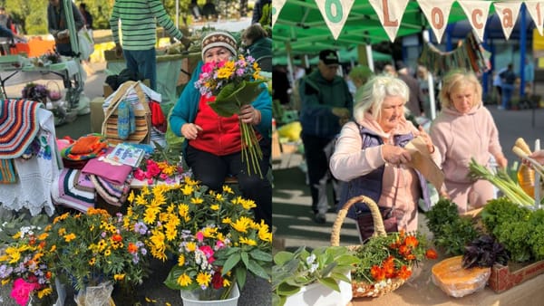 Târgul de caritate „EcoLocal SOCIAL” va fi organizat pe 20 decembrie: poți cumpăra produse eco și hand-made