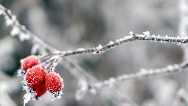 Vreme rece, cer noros și lapoviță: Prognoza meteo pentru ziua de 23 decembrie