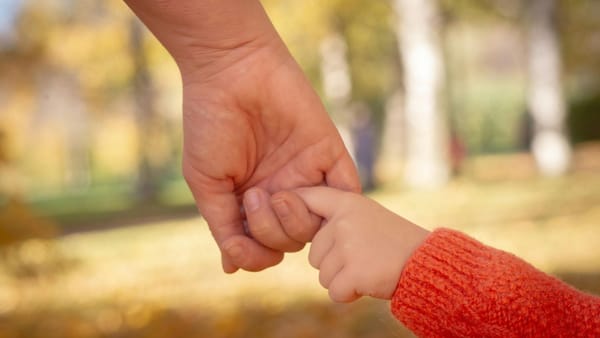 Alocații, pensii și prestații sociale mai mari: Parlamentul a adoptat Bugetul asigurărilor sociale de stat pentru 2026