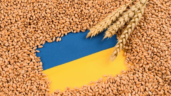 Producătorii agricoli cer din nou prelungirea licențierii importului de cereale și oleaginoase din Ucraina