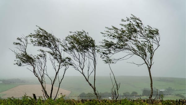 Prognoza meteo pentru marți. Vreme rece cu cer noros și vânt slab spre moderat în sudul și centrul țării