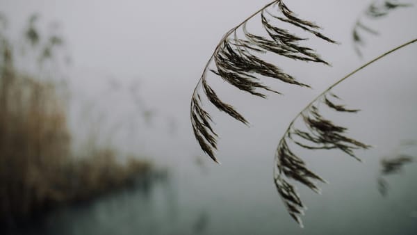 Meteorologii anunță vreme rece cu lapoviță și ninsoare slabă în Republica Moldova